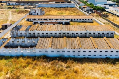 Tomt i Quinta do Anjo, Setubal, Quinta do Anjo - € 317 500 | Ref: KWPT-018547 - foto 9