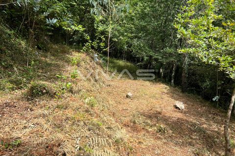 Terra a Amares, Braga, Amares - € 5.000 | Ref: 01-3654 - foto 2