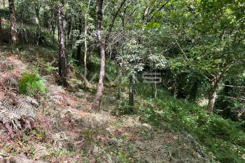Terra a Amares, Braga, Amares - € 5.000 | Ref: 01-3654 - foto 3