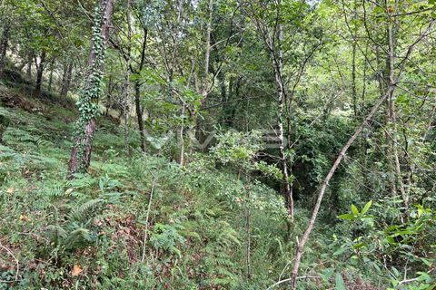 Terra a Amares, Braga, Amares - € 5.000 | Ref: 01-3654 - foto 4