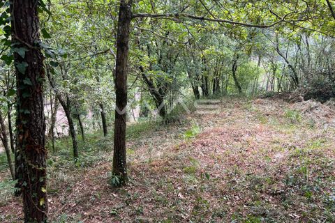 Terra a Amares, Braga, Amares - € 5.000 | Ref: 01-3654 - foto 5