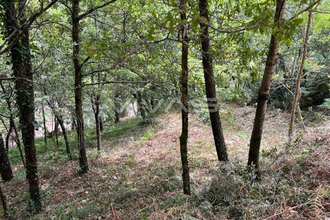 Terra a Amares, Braga, Amares - € 5.000 | Ref: 01-3654 - foto 6