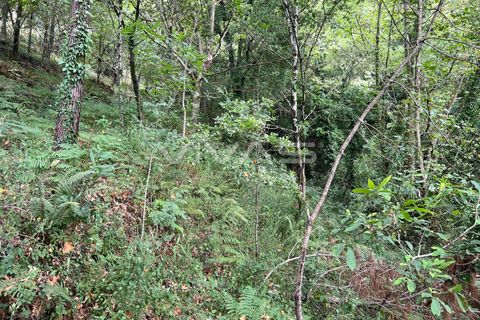 Terra a Amares, Braga, Amares - € 5.000 | Ref: 01-3654 - foto 7
