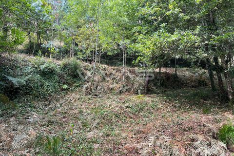 Terra a Amares, Braga, Amares - € 5.000 | Ref: 01-3654 - foto 8