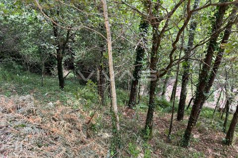 Terra a Amares, Braga, Amares - € 5.000 | Ref: 01-3654 - foto 10