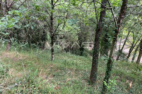 Terra a Amares, Braga, Amares - € 5.000 | Ref: 01-3654 - foto 11