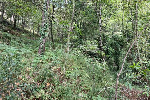 Terra a Amares, Braga, Amares - € 5.000 | Ref: 01-3654 - foto 13