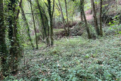 Helårsgrund i Amares, Braga, Amares - € 5.000 | Ref: 01-3655 - foto 2