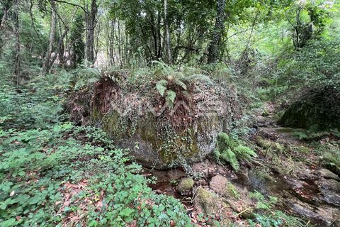 Helårsgrund i Amares, Braga, Amares - € 5.000 | Ref: 01-3655 - foto 4