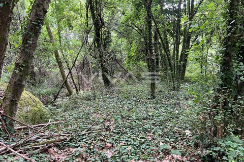 Helårsgrund i Amares, Braga, Amares - € 5.000 | Ref: 01-3655 - foto 5