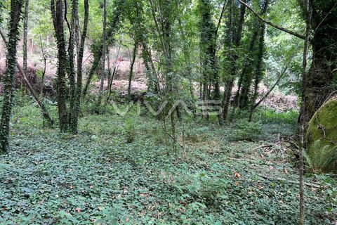 Helårsgrund i Amares, Braga, Amares - € 5.000 | Ref: 01-3655 - foto 6