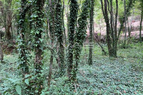 Helårsgrund i Amares, Braga, Amares - € 5.000 | Ref: 01-3655 - foto 7