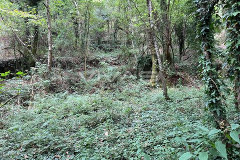 Helårsgrund i Amares, Braga, Amares - € 5.000 | Ref: 01-3655 - foto 8