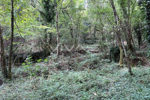 Helårsgrund i Amares, Braga, Amares - € 5.000 | Ref: 01-3655 - foto 9