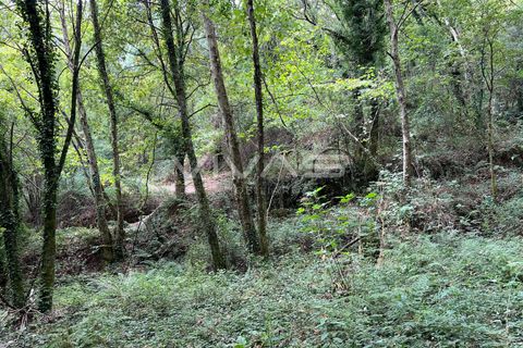 Helårsgrund i Amares, Braga, Amares - € 5.000 | Ref: 01-3655 - foto 10