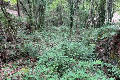 Helårsgrund i Amares, Braga, Amares - € 5.000 | Ref: 01-3655 - foto 11