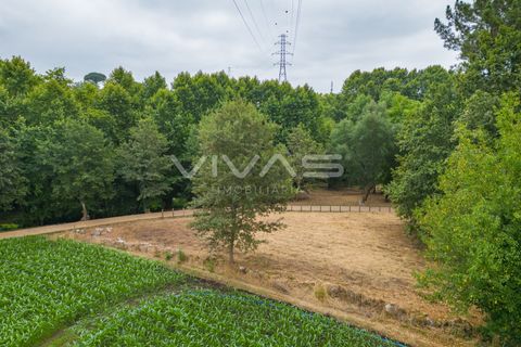Helårsgrund i Vila Verde, Braga, Vila Verde - € 48.000 | Ref: 01-3660 - foto 9