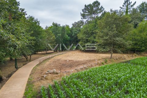 Helårsgrund i Vila Verde, Braga, Vila Verde - € 48.000 | Ref: 01-3660 - foto 10