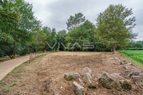 Helårsgrund i Vila Verde, Braga, Vila Verde - € 48.000 | Ref: 01-3660 - foto 13