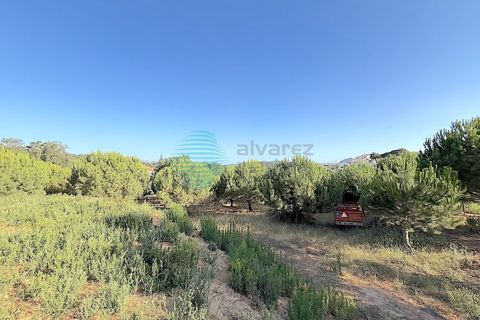 Villa i Torres Vedras, Lisbon, Torres Vedras - € 815.000 | Ref: 3324-V4UBM - foto 42