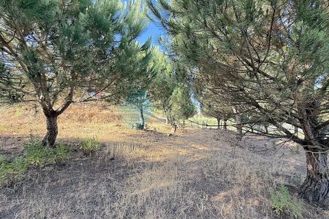 Villa i Torres Vedras, Lisbon, Torres Vedras - € 815.000 | Ref: 3324-V4UBM - foto 44