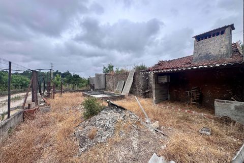Tomt i Tomar, Santarem, Tomar - € 60 000 | Ref: TL044 - foto 4