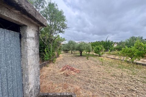 Tomt i Tomar, Santarem, Tomar - € 60 000 | Ref: TL044 - foto 6