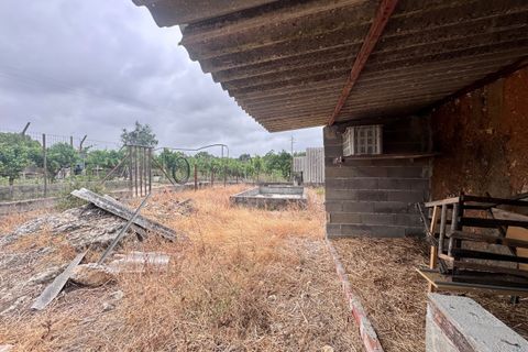 Tomt i Tomar, Santarem, Tomar - € 60 000 | Ref: TL044 - foto 7