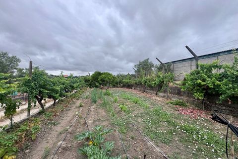 Tomt i Tomar, Santarem, Tomar - € 60 000 | Ref: TL044 - foto 10