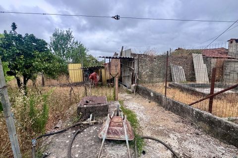 Tomt i Tomar, Santarem, Tomar - € 60 000 | Ref: TL044 - foto 11