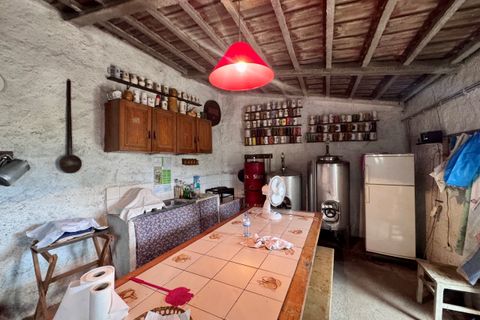 Tomt i Tomar, Santarem, Tomar - € 60 000 | Ref: TL044 - foto 13