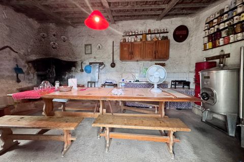Tomt i Tomar, Santarem, Tomar - € 60 000 | Ref: TL044 - foto 15