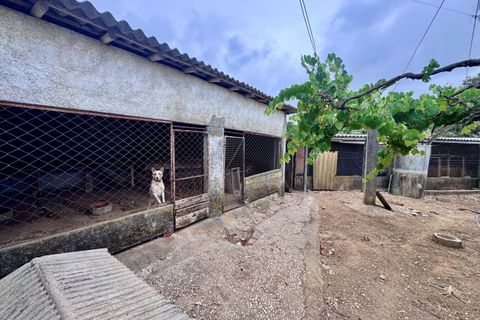 Tomt i Tomar, Santarem, Tomar - € 60 000 | Ref: TL044 - foto 17