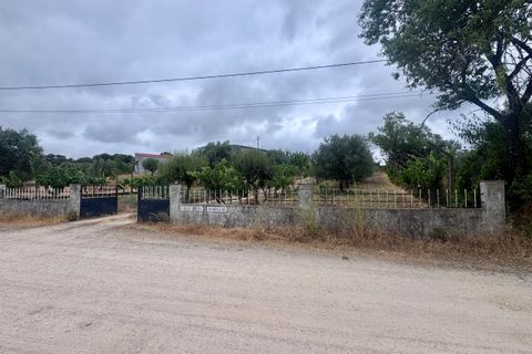 Tomt i Tomar, Santarem, Tomar - € 60 000 | Ref: TL044 - foto 20