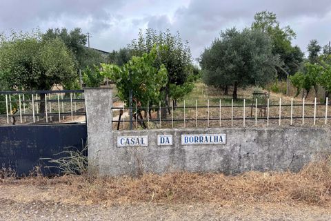 Tomt i Tomar, Santarem, Tomar - € 60 000 | Ref: TL044 - foto 21