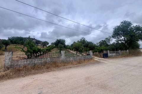 Tomt i Tomar, Santarem, Tomar - € 60 000 | Ref: TL044 - foto 22