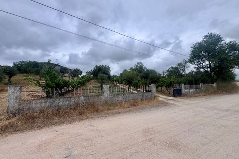Tomt i Tomar, Santarem, Tomar - € 60 000 | Ref: TL044 - foto 23