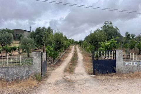 Tomt i Tomar, Santarem, Tomar - € 60 000 | Ref: TL044 - foto 25