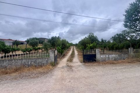 Tomt i Tomar, Santarem, Tomar - € 60 000 | Ref: TL044 - foto 26