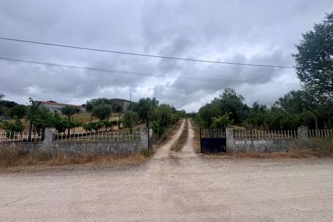 Tomt i Tomar, Santarem, Tomar - € 60 000 | Ref: TL044 - foto 27