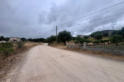 Tomt i Tomar, Santarem, Tomar - € 60 000 | Ref: TL044 - foto 28
