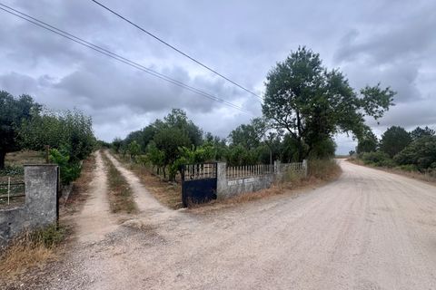 Tomt i Tomar, Santarem, Tomar - € 60 000 | Ref: TL044 - foto 29