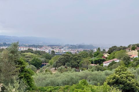 Tomt i Tomar, Santarem, Tomar - € 60 000 | Ref: TL044 - foto 30