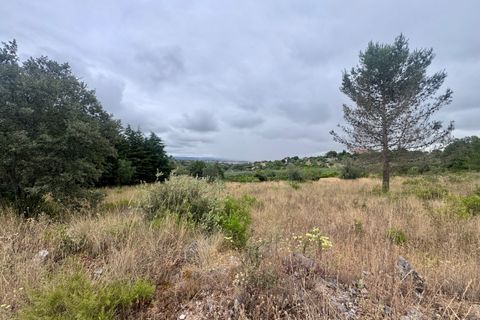 Tomt i Tomar, Santarem, Tomar - € 60 000 | Ref: TL044 - foto 31