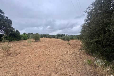 Tomt i Tomar, Santarem, Tomar - € 60 000 | Ref: TL044 - foto 33
