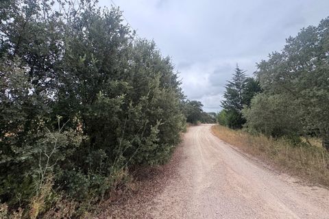 Tomt i Tomar, Santarem, Tomar - € 60 000 | Ref: TL044 - foto 36