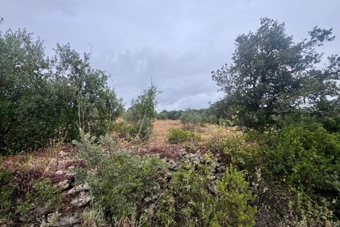 Tomt i Tomar, Santarem, Tomar - € 60 000 | Ref: TL044 - foto 37