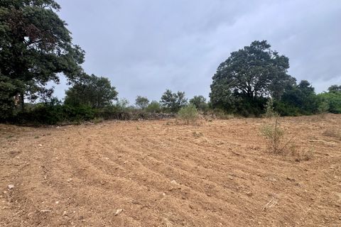 Tomt i Tomar, Santarem, Tomar - € 60 000 | Ref: TL044 - foto 43