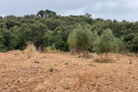 Tomt i Tomar, Santarem, Tomar - € 60 000 | Ref: TL044 - foto 44