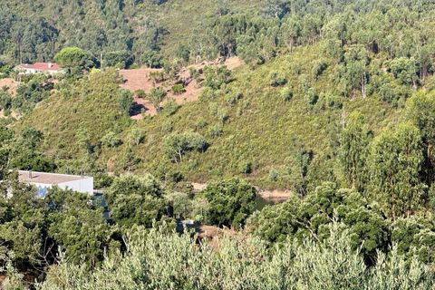 Villa i Tomar, Santarem, Tomar - € 199.500 | Ref: TL043 - foto 20